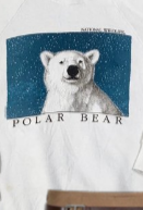 Winter Polar Express