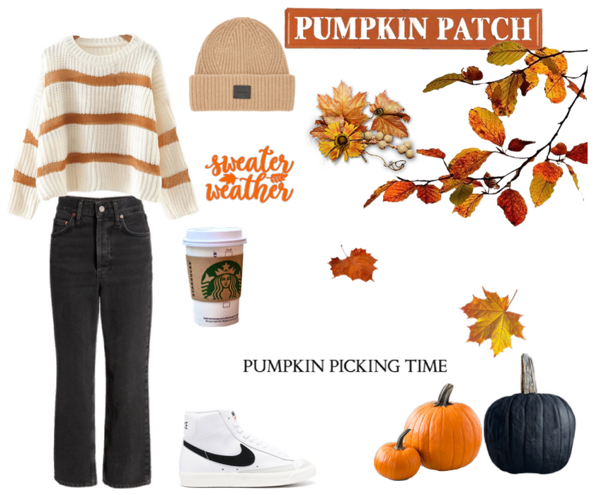 a day at the pumpkin patch