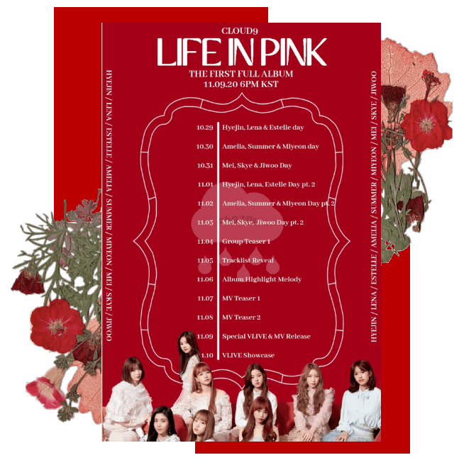 Cloud9 (구름아홉) | Life In Pink Schedule | 20201029