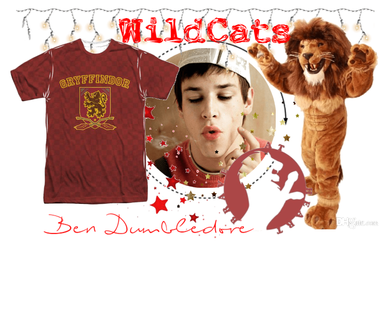 Ben Dumbledore - WildCats - Gryffindor