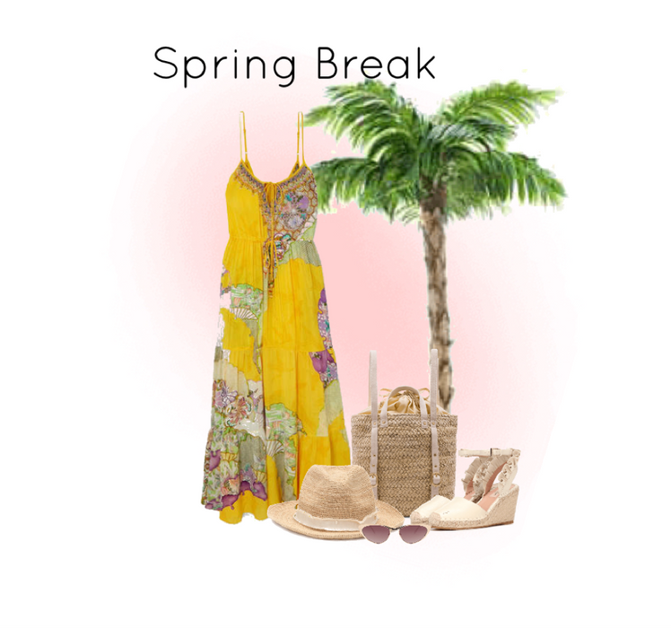 spring Break: Palm