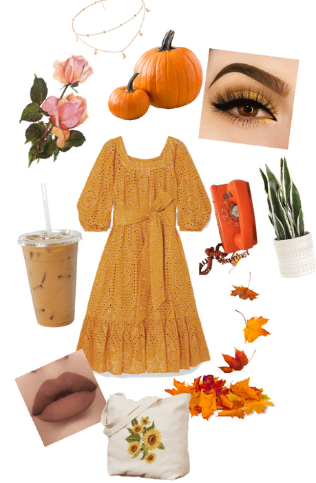 Fall Pumpkin Patch 🎃