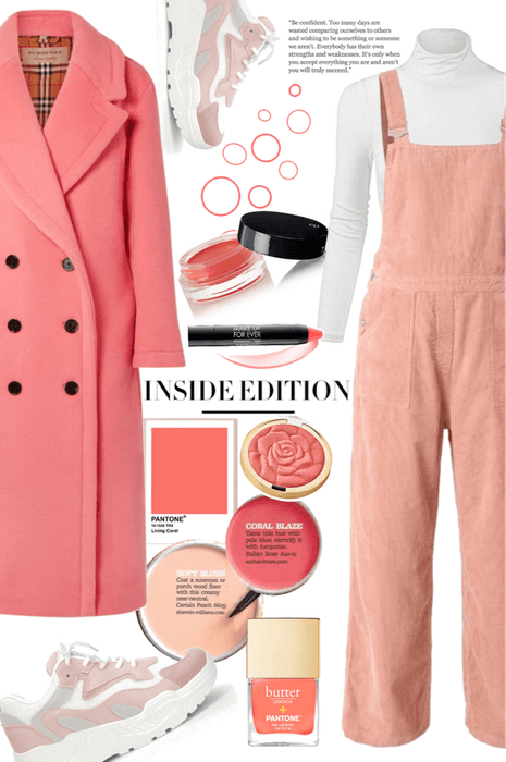 Color of The Year 2019 : Coral