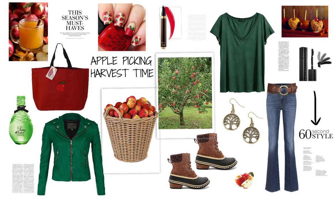 apple picking harvest time contest