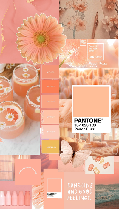 Pantone Color of 2024 - Peach Fuzz