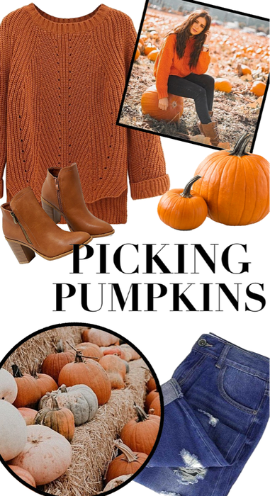 picking pumpkins!!🧡🧡🎃