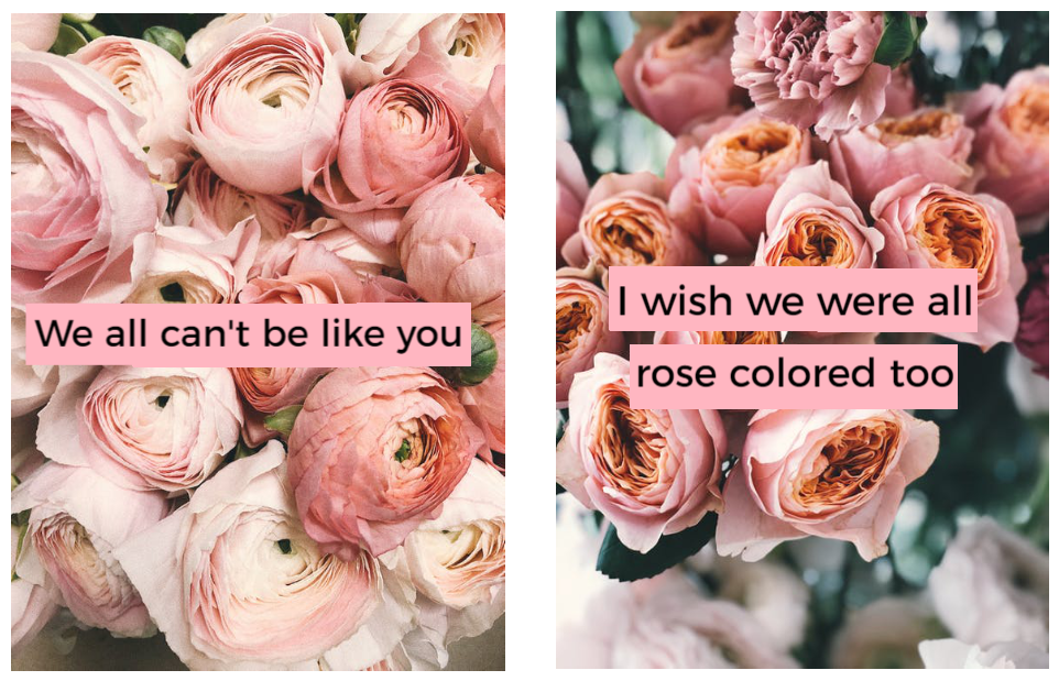 Rose Colored Boy // Paramore