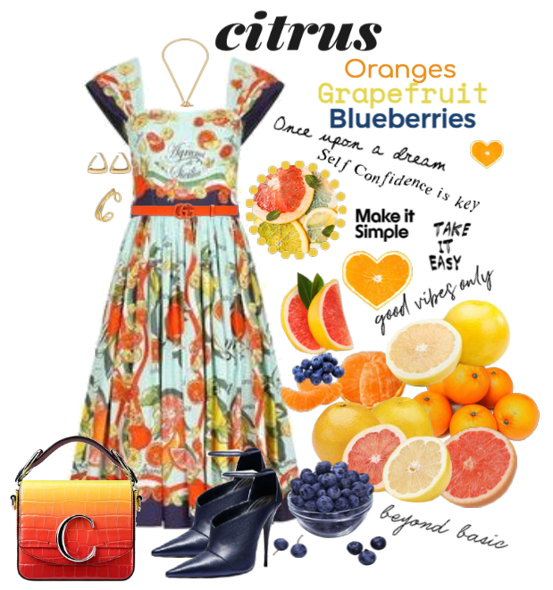 Fruits Fit - Citrus & Blueberries