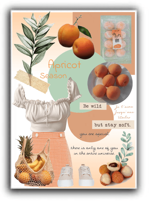 Apricot Season