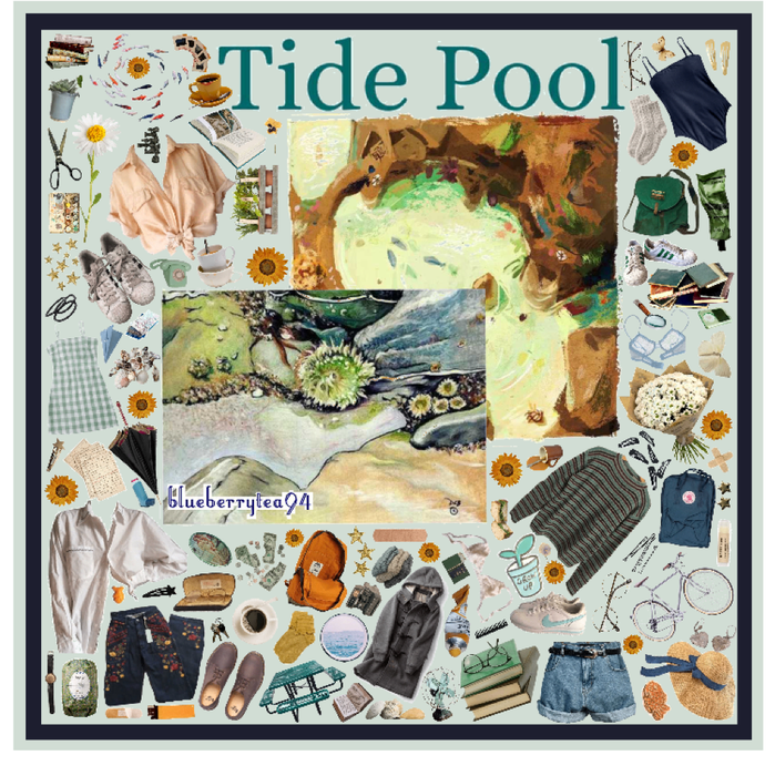 Tide Pool Moodboard