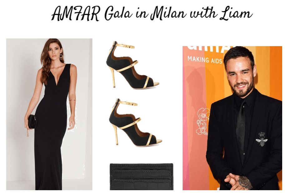 AMFAR gala in Milan with Liam