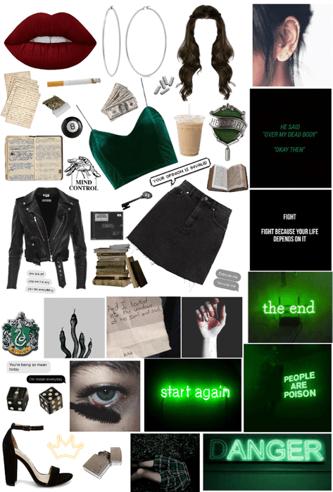 SLYTHERIN: The Cunning