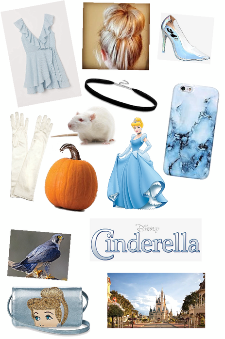 Cinderella outfit