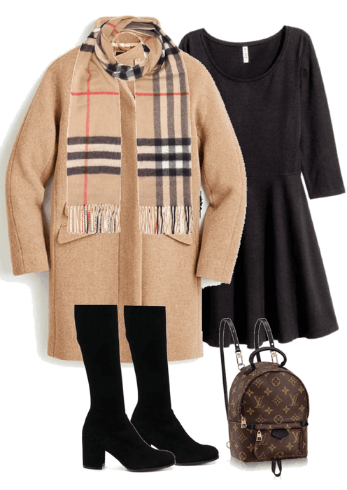 Brown Wool Coat Outfit 1