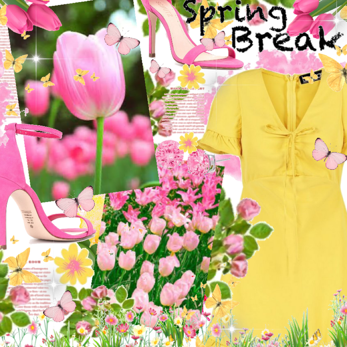 Spring Break! 🌸🌼🌷🍃