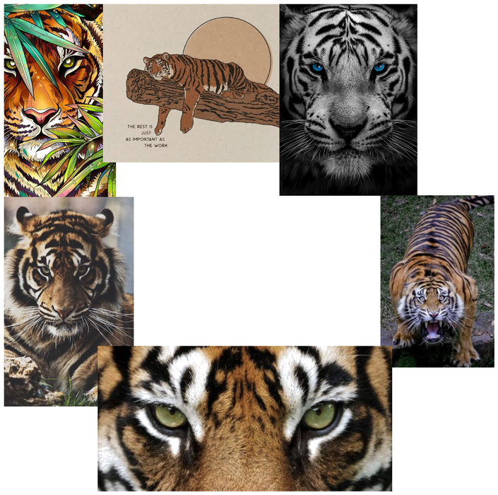 Tiger. 🐅