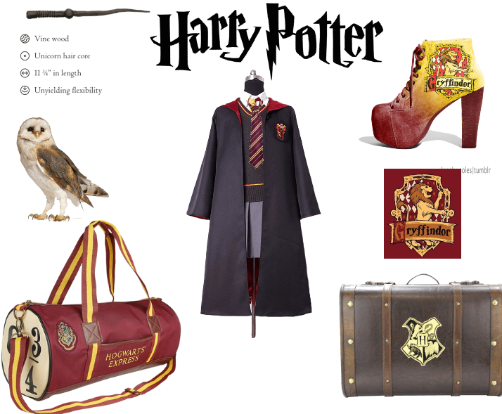 Harry Potter Girl Costume
