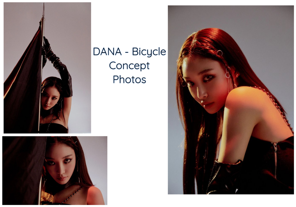 Dana Bicycle Concept Photos #1