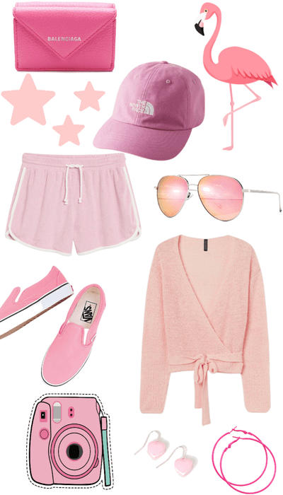 Pink Flamingo🦩