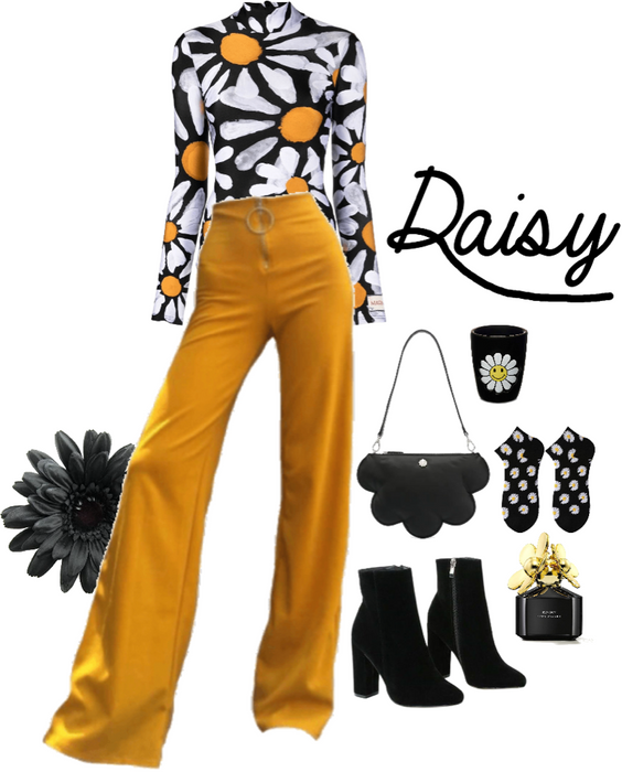 black yellow daisy