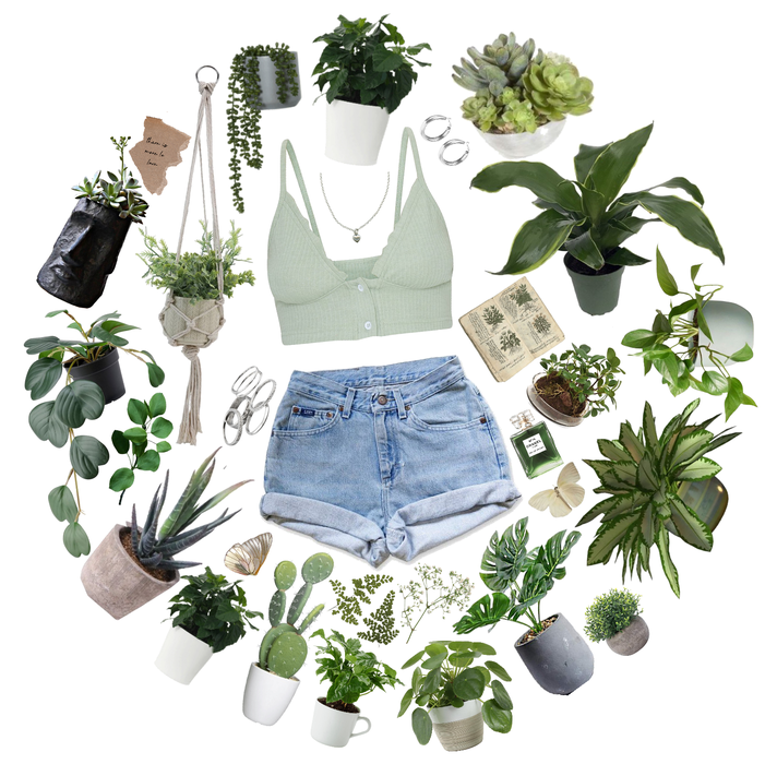 Plants 🌱