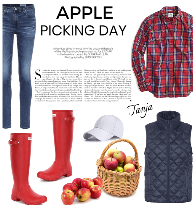 Apple Picking Day