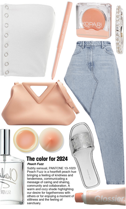 Pantone Color for 2024: Peach Fuzz