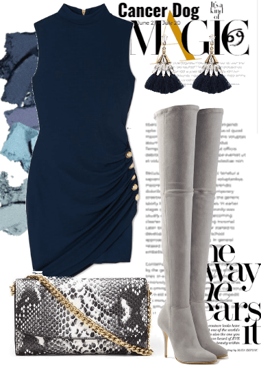 The Navy Blue Dress & Gray Boots.
