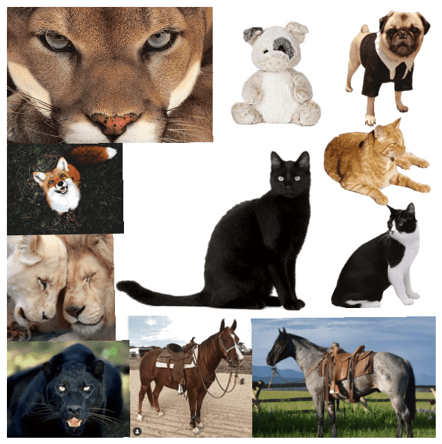 Different animals