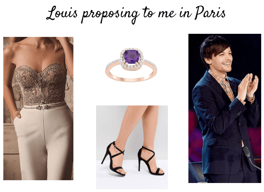 Louis's marriage proposal in Paris