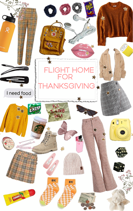 flight home for thanksgiving