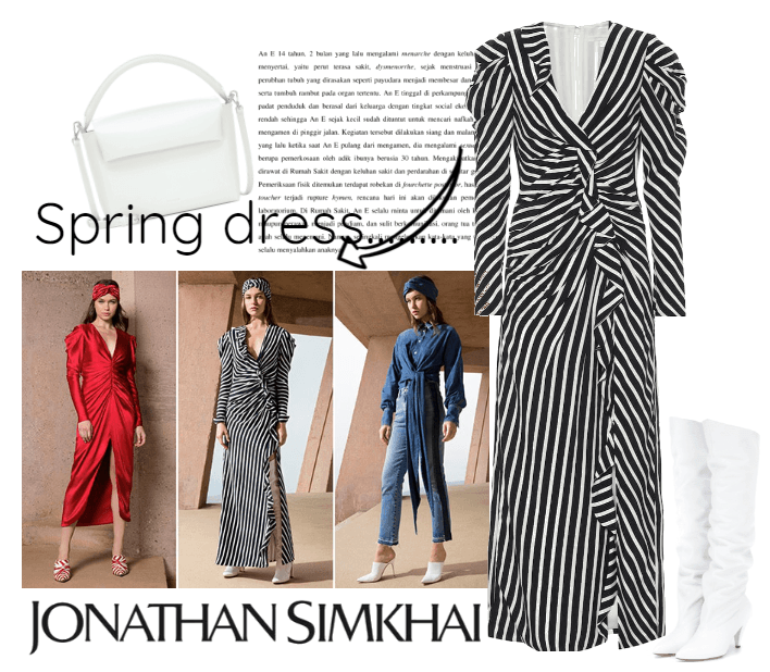 Spring Dress- JONATHAN SIMKHAI