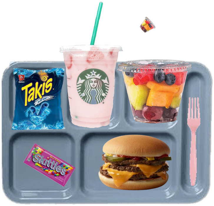 Lunch tray