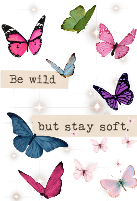 Be Wild But Stay Soft!!