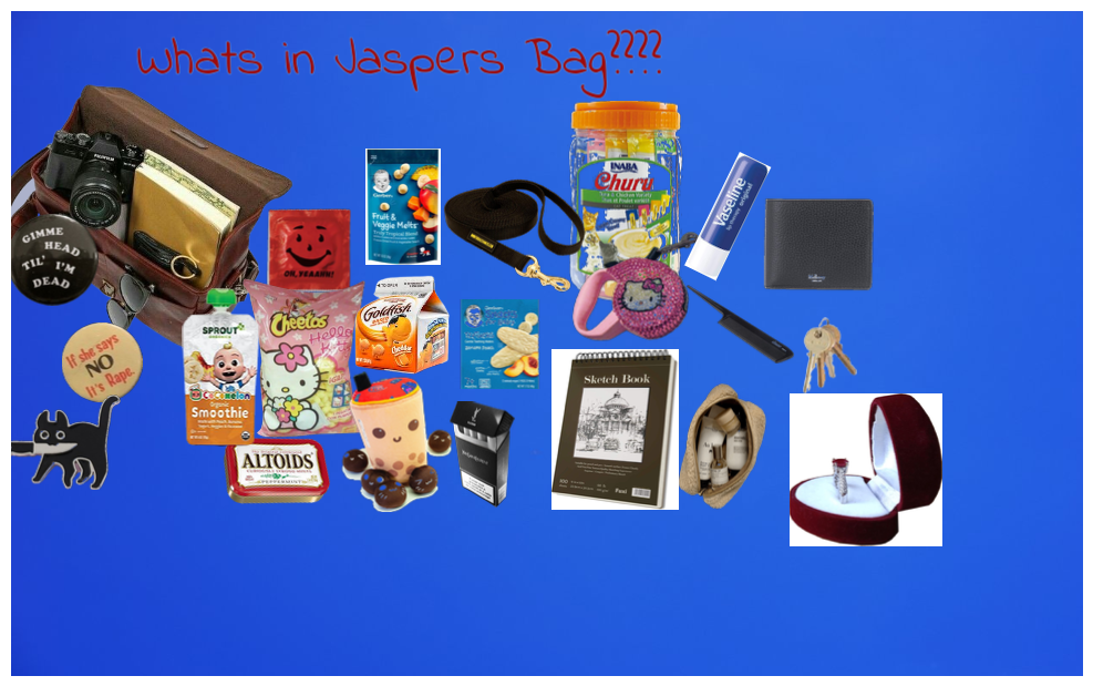 Whats In jaspers bag
