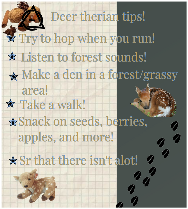 Deer therian tips! 🦌⭐️
