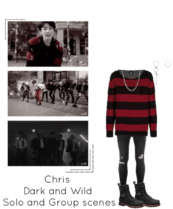 Dark and Wild MV- Chris