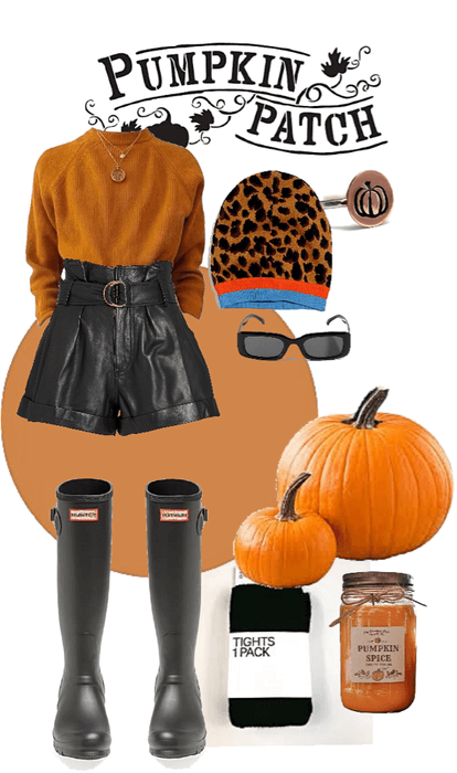 pumpkin patch 🎃 🍂