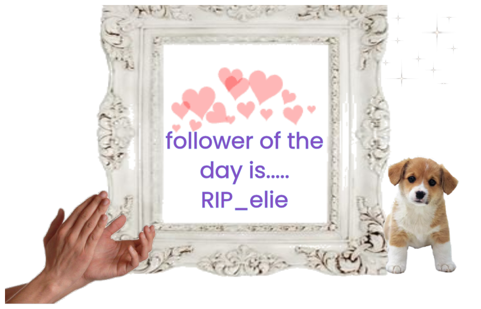 follower of the day is rip_elie