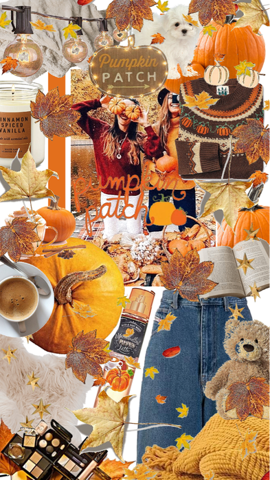 cozy fall pumpkin patch