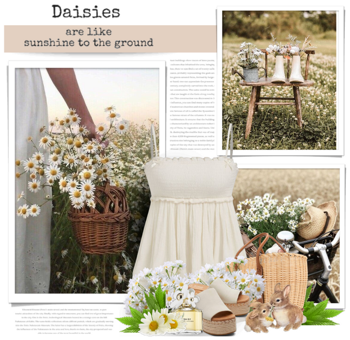 April flowers: Daisies