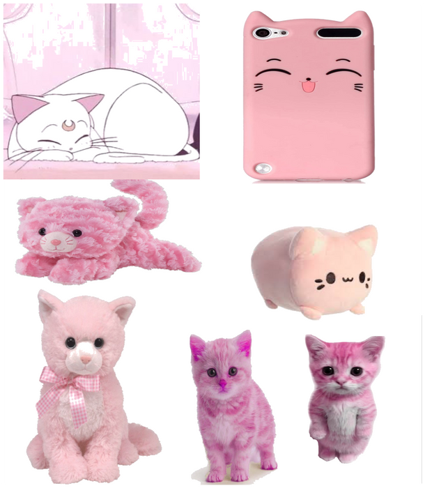 Pink cats💖💕💞🩷
