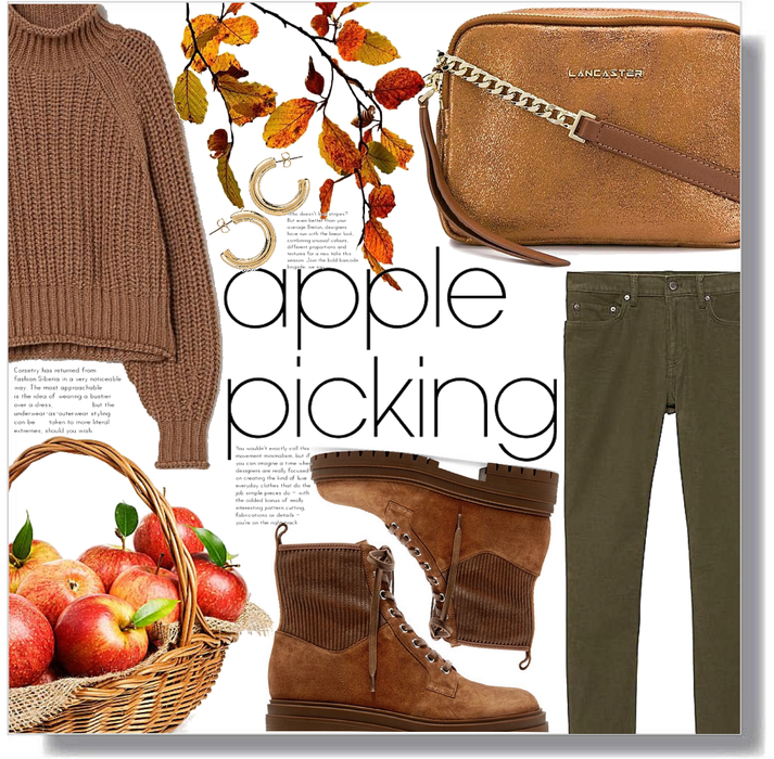 apple picking season 🍎🍁