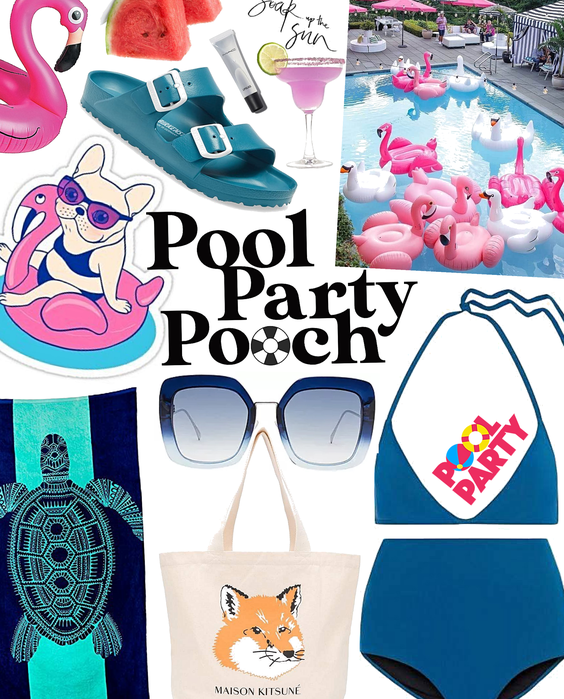 pool party pooch | pool party