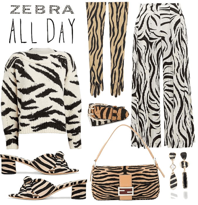 zebra all day