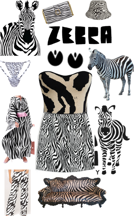 zebra 🦓