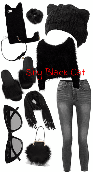 Shy Black Cat