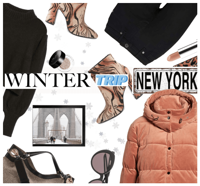 Winter Trip to New York
