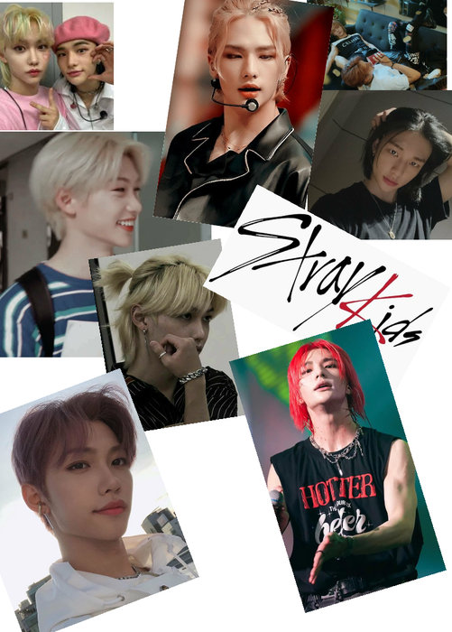 The two Stray Kids
