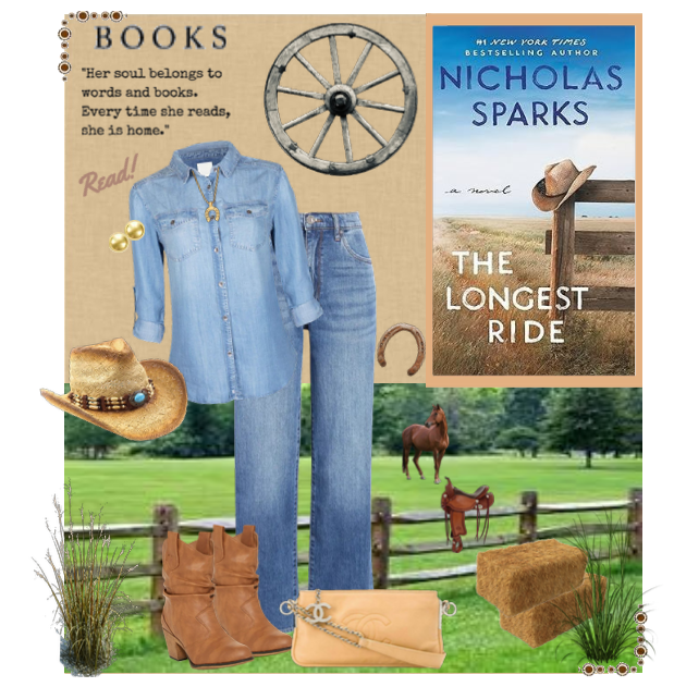 Books:  The Longest Ride (Nicholas Sparks)